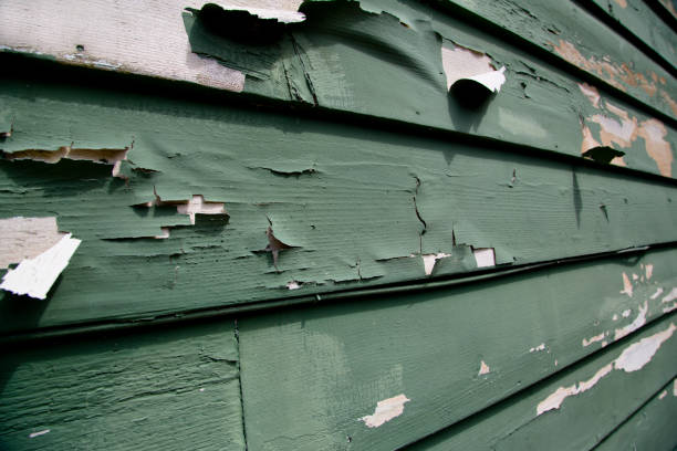 Property Management Cleanouts in Paradise, NV