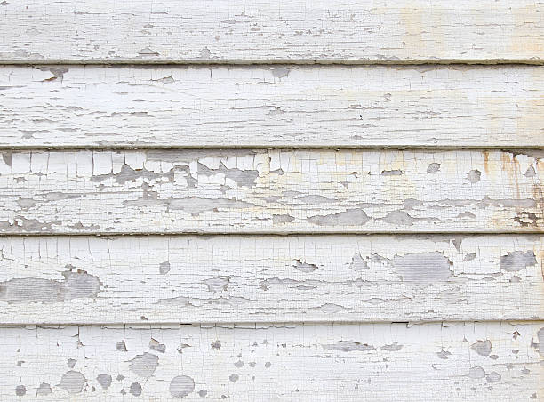 Best Construction Debris Removal  in Paradise, NV